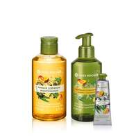 Setti - Mango Koriander (Käsisaippua, suihkugeeli & käsivoide )